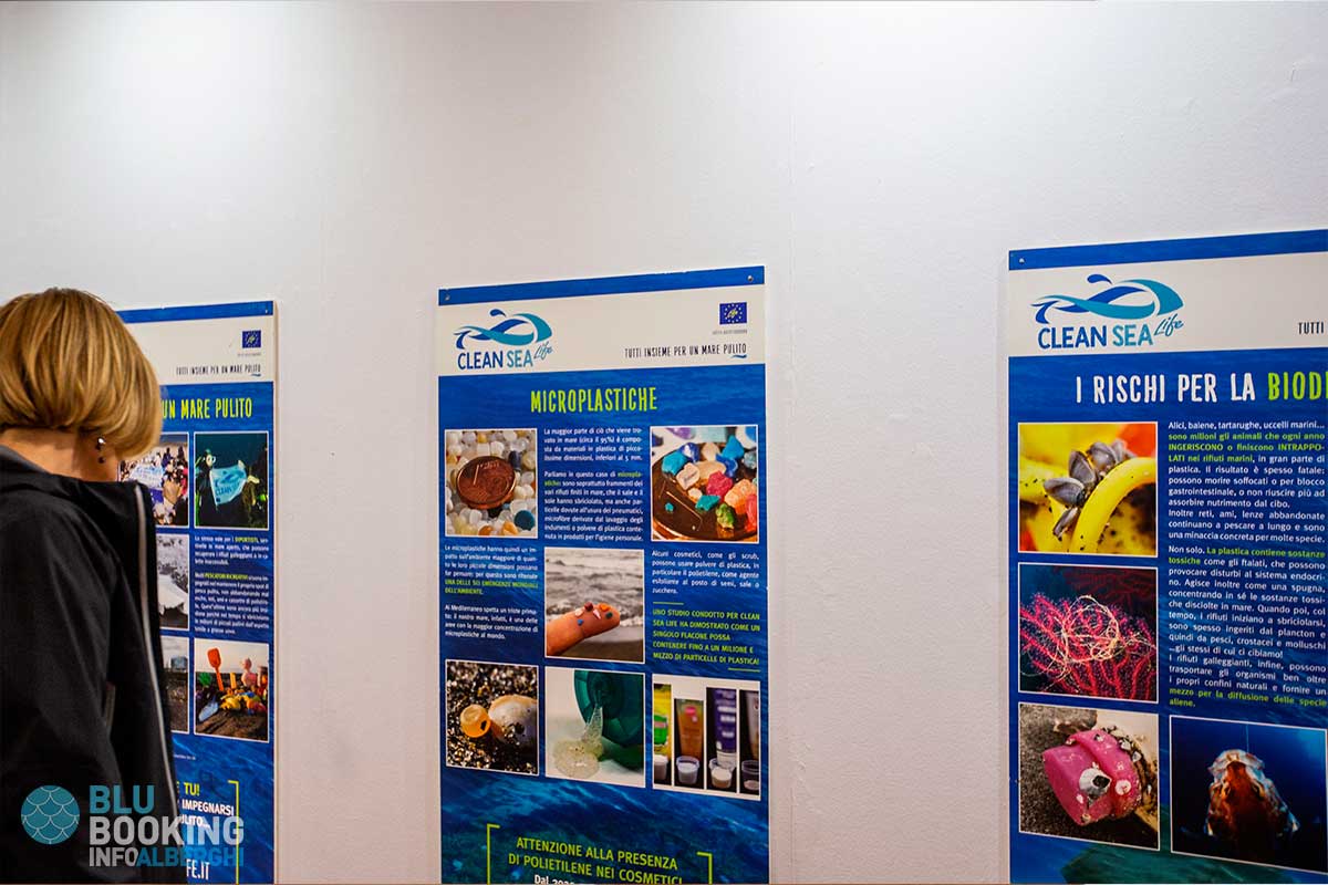 Mostra Clean SEA Life